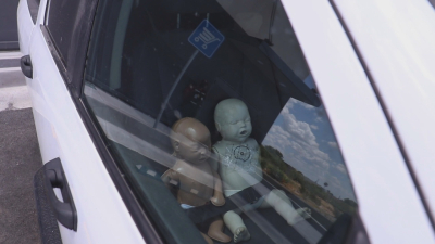 VIDEO Dejar a ni&ntilde;os o mascotas dentro del auto con altas temperaturas podr&iacute;a ser mortal; PC
