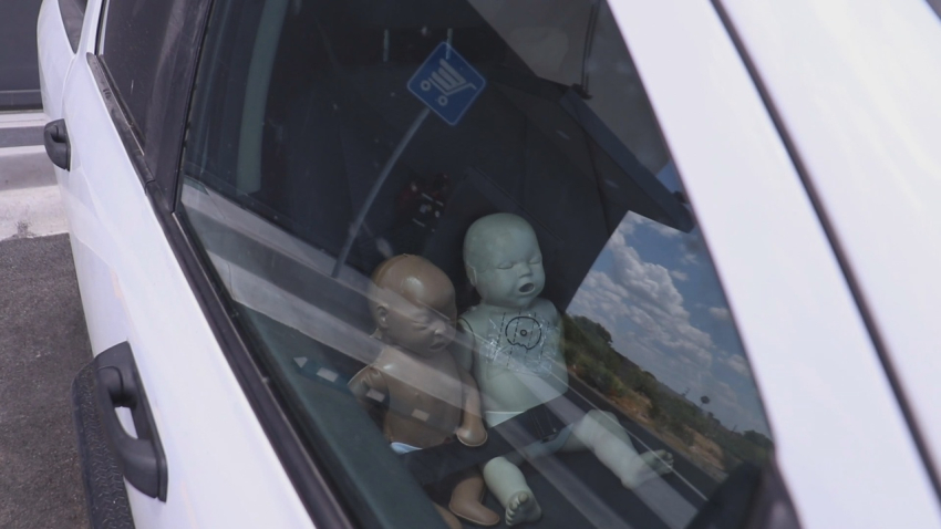 VIDEO Dejar a niños o mascotas dentro del auto con altas temperaturas podría ser mortal; PC