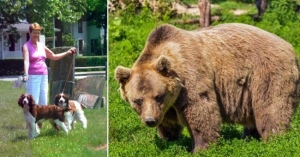 Perrito se sacrifica para salvar a abuelita que golpe&oacute; a un oso