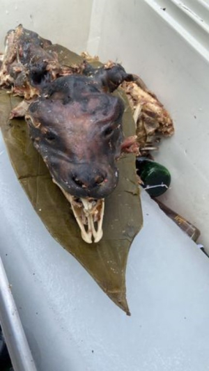 Descubren venta de barbacoa de perro en Hidalgo; bloquean carretera como protesta