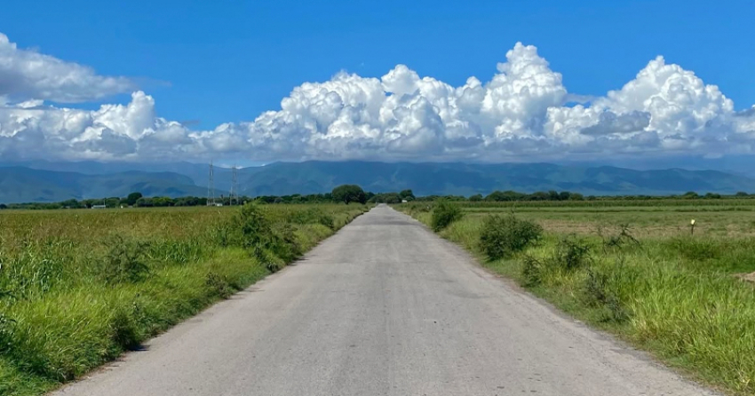 Lluvias reactivan el campo; productores aceleran preparación para sembrar en julio
