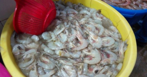 Rematan mariscos para comprar útiles escolares