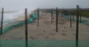 Impact&oacute; Alberto en campos tortugueros