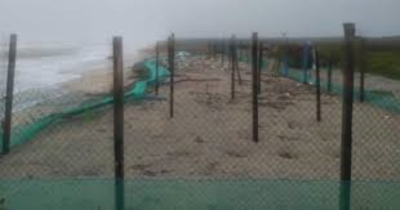 Impactó Alberto en campos tortugueros