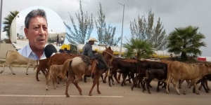 Malbaratan ejidatarios de Altamira sus animales ante sequía