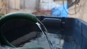 Se agota el agua; ajustan tandeos