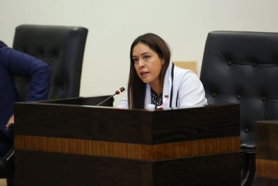 VIDEO Participa Gaby Regalado en la Comisión &quot;Anti-Blindaje&quot;