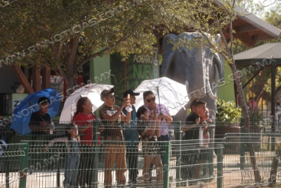 MODIFICAN HORARIO POR VACACIONES DE VERANO EN EL ZOOL&Oacute;GICO MUNICIPAL