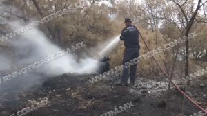 Bajan incendios en zacatales por condiciones de clima
