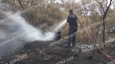 Bajan incendios en zacatales por condiciones de clima