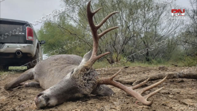 Nuevo Laredo se consolida como destino de cazadores extranjeros