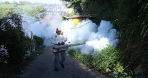 M&eacute;xico registra m&aacute;s de 113 mil casos de dengue y 303 muertes