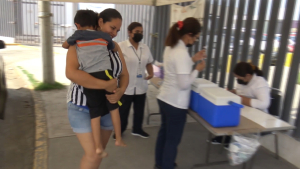 VIDEO Sector Salud al 70 por ciento en meta de vacunación contra influenza en menores