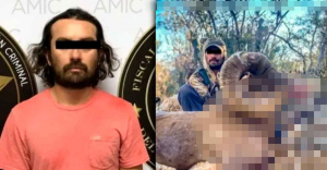 Detienen a cazador en Sonora; mat&oacute; a un cimarr&oacute;n y lo presumi&oacute; en redes