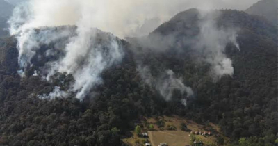 Hay riesgo de incendios forestales a causa de las tormentas eléctricas: Protección Civil Tamaulipas