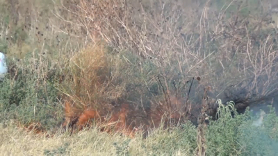 Incrementan incendios en zacatales 60 por ciento