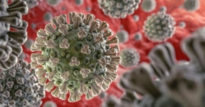IPN desarrolla biof&aacute;rmaco para reducir efectividad del coronavirus
