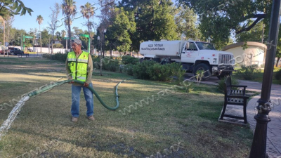 PROTEGE GOBIERNO MUNICIPAL &Aacute;REAS VERDES CON RIEGO MATUTINO Y NOCTURNO