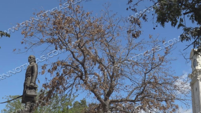 Oto&ntilde;o traer&aacute; ligero descenso de temperaturas en Nuevo Laredo