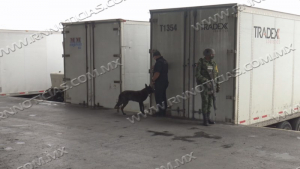 Preocupadas autoridades por importaci&oacute;n de alimentos sin restricci&oacute;n