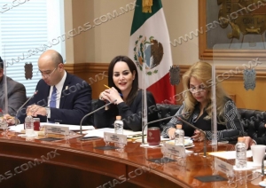 CABILDO APRUEBA CONFORMACI&Oacute;N DE COMIT&Eacute; BINACIONAL ONU-H&Aacute;BITAT