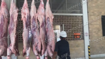 Esperan incremento de sacrificios en rastro municipal de Nuevo Laredo