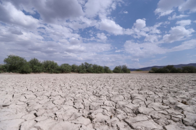 Ganaderos esperan un milagro: la lluvia