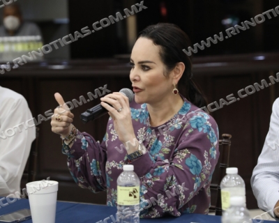 La obra p&uacute;blica ser&aacute; fundamental para reactivar la econom&iacute;a: Carmen Lilia Canturosas