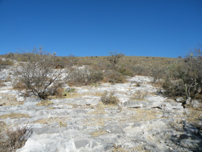 Agobia la sed al 70% de 42 ejidos