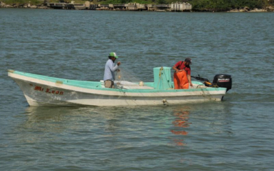 Inspeccionan embarcaciones para detectar pesca furtiva en el r&iacute;o P&aacute;nuco