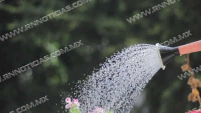 Continúa en aumento el consumo de agua por verano