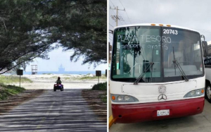 Habr&aacute; transporte gratis para turistas en Altamira