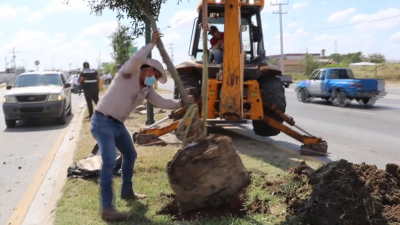 VIDEO Cuidan medio ambiente con reforestaci&oacute;n de 120 &aacute;rboles en Nuevo Laredo