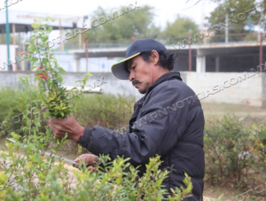 INICIAN REHABILITACI&Oacute;N DE ESPACIOS P&Uacute;BLICOS PARA LA CELEBRACI&Oacute;N DE LA PASCUA