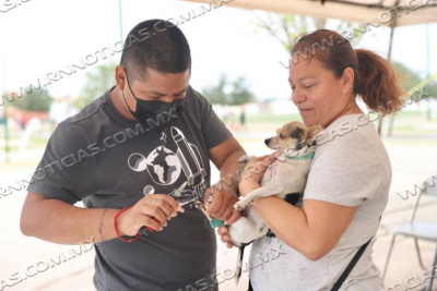 REALIZAR&Aacute;N BRIGADA DE SALUD VETERINARIA ESTE VIERNES