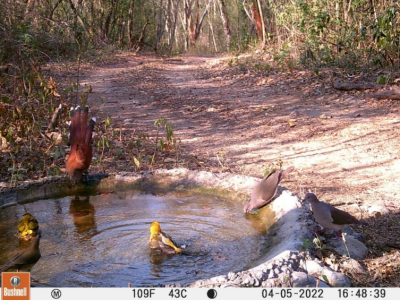 Sequ&iacute;a, otro problema en &ldquo;El Cielo&rdquo;; voluntarios piden ayuda para llevar agua a animales