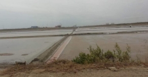 Salineros de Lomas Real temen que expansi&oacute;n del puerto termine su actividad