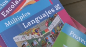 VIDEO La enseñanza de libros de texto escolares debe estar a criterio de maestros