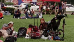 VIDEO Piden a personas no migrar; No hay procesos de asilo abiertos
