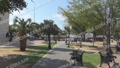 Piden cuidar medio ambiente y plantar árboles