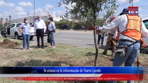 VIDEO Se avanza en la reforestación de Nuevo Laredo