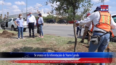 VIDEO Se avanza en la reforestaci&oacute;n de Nuevo Laredo