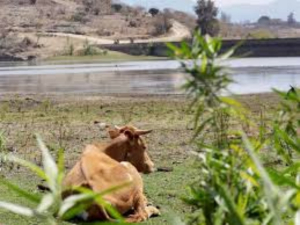 M&eacute;xico registra d&eacute;ficit de 10.24% de lluvias en 2025