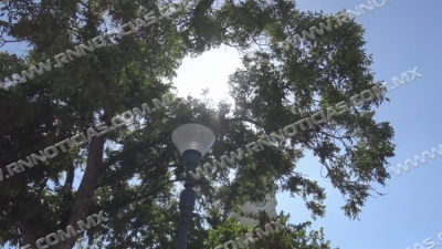 Alertan autoridades por oleada de calor