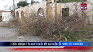 VIDEO Medio ambiente ha recolectado 236 toneladas de ramas tras tormenta