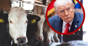 Aranceles le rebotan a Estados Unidos y Donald Trump pide bajar precio de la carne