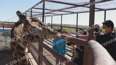 Reabren Zool&oacute;gico de Nuevo Laredo al p&uacute;blico; Entrada ser&aacute; gratuita