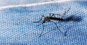 M&eacute;xico est&aacute; cerca de llegar a 17 mil casos de dengue