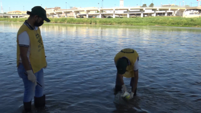VIDEO Estudiantes del CBTis 234 hacen muestreos del agua en R&iacute;o Bravo