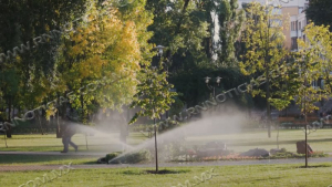 Direcci&oacute;n de Medio Ambiente vigila la ciudad para evitar desperdicio del agua